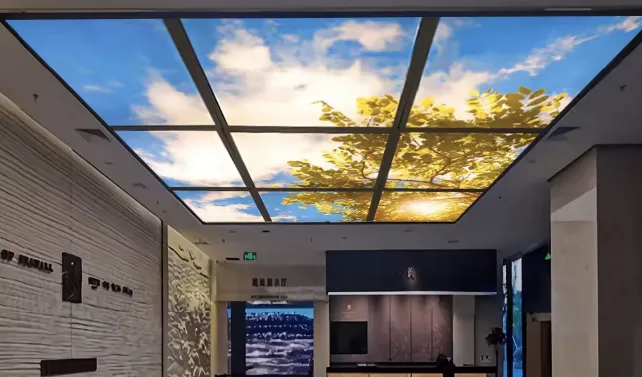 Skylight Signages